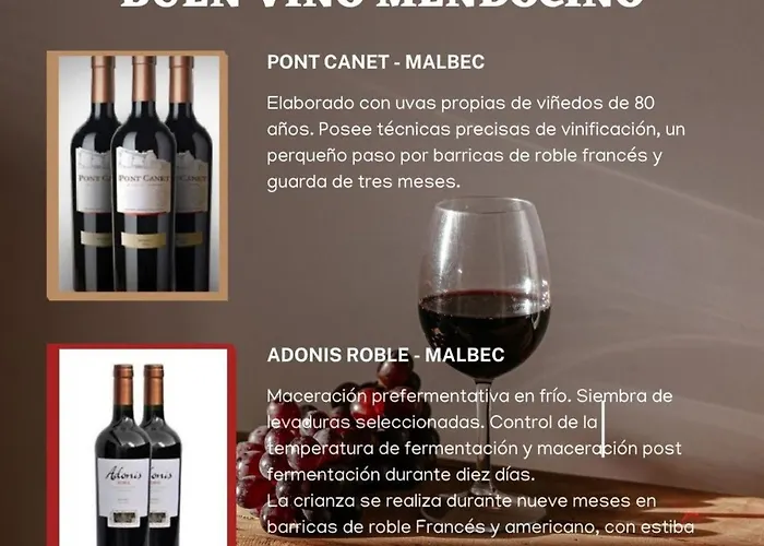 Cielo Andino Syrah -Céntrico-