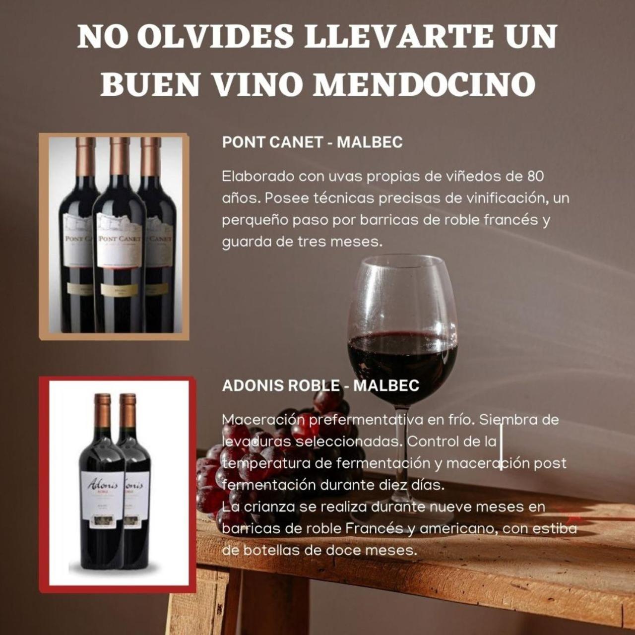 Syrah -centrico- Mendoza